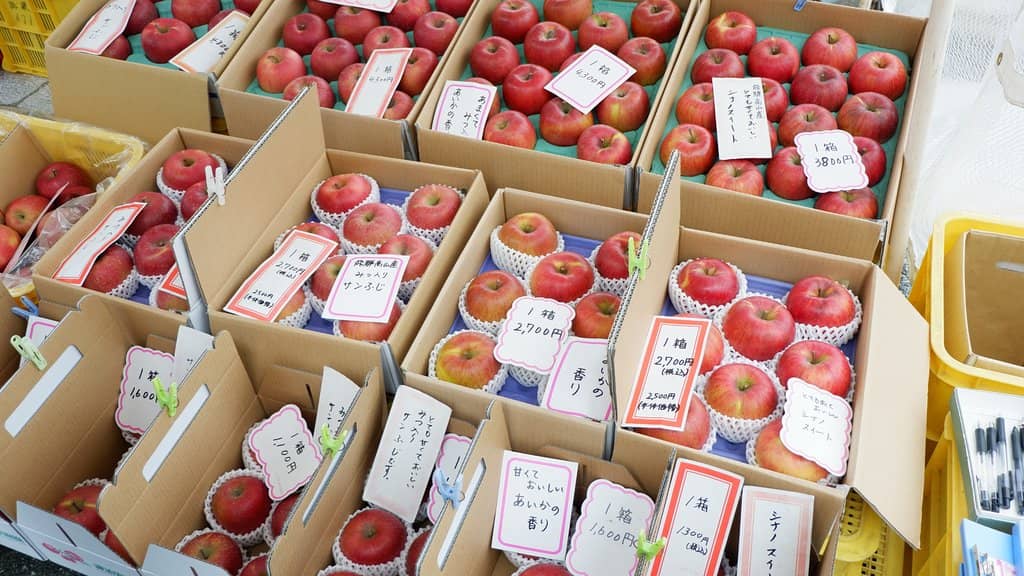 Street Food Delights