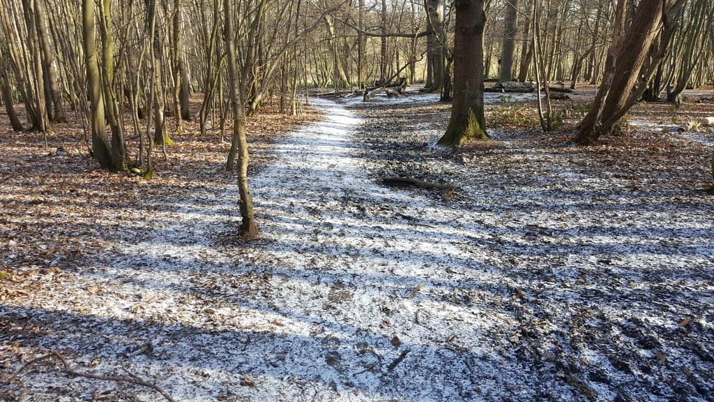 WWII History at the Mansion