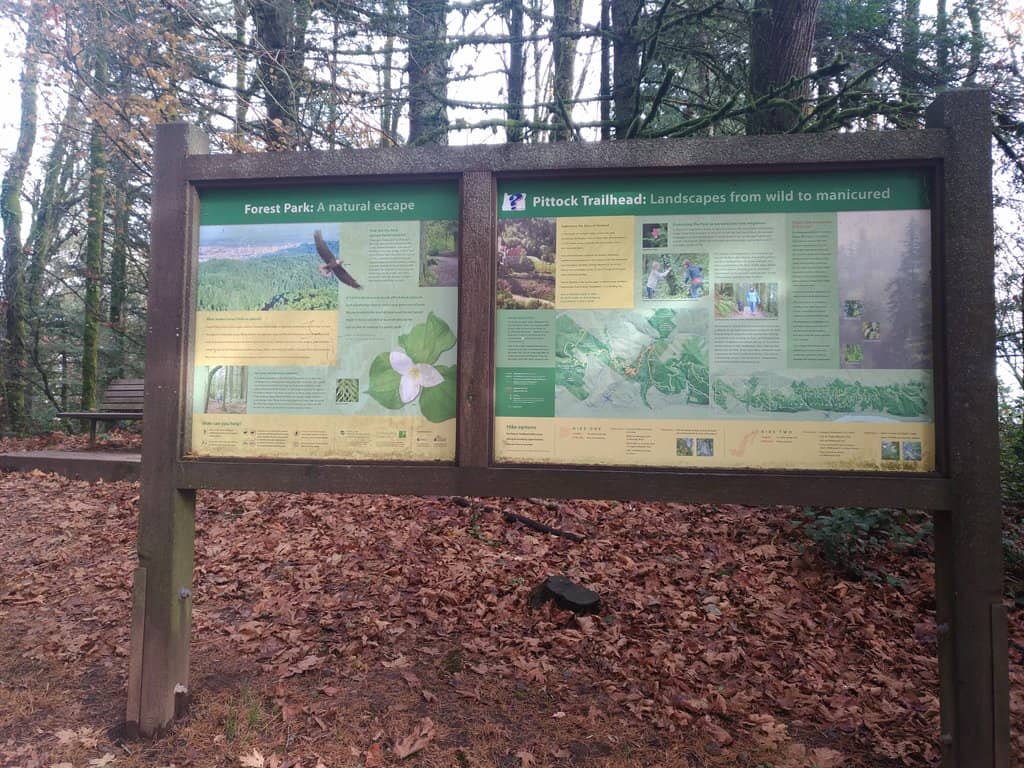 Accidental Circus Art Installation