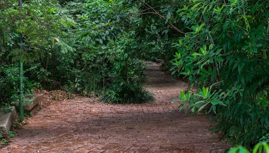 Community Gathering Space