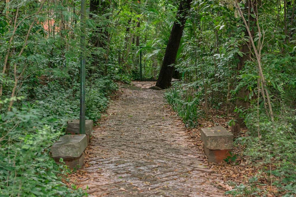 Cultural Events & Festivals