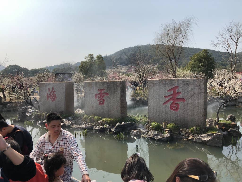 Local Crafts and Cuisine