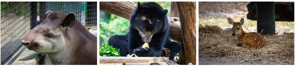 Nature Trails and Biodiversity