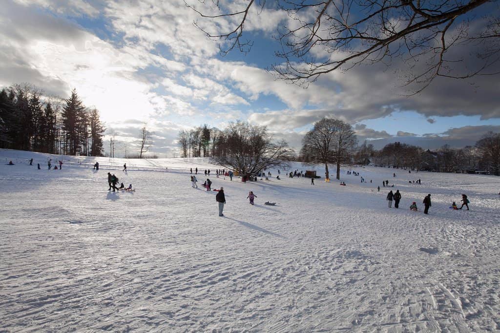 Panoramic City & Alpine Views