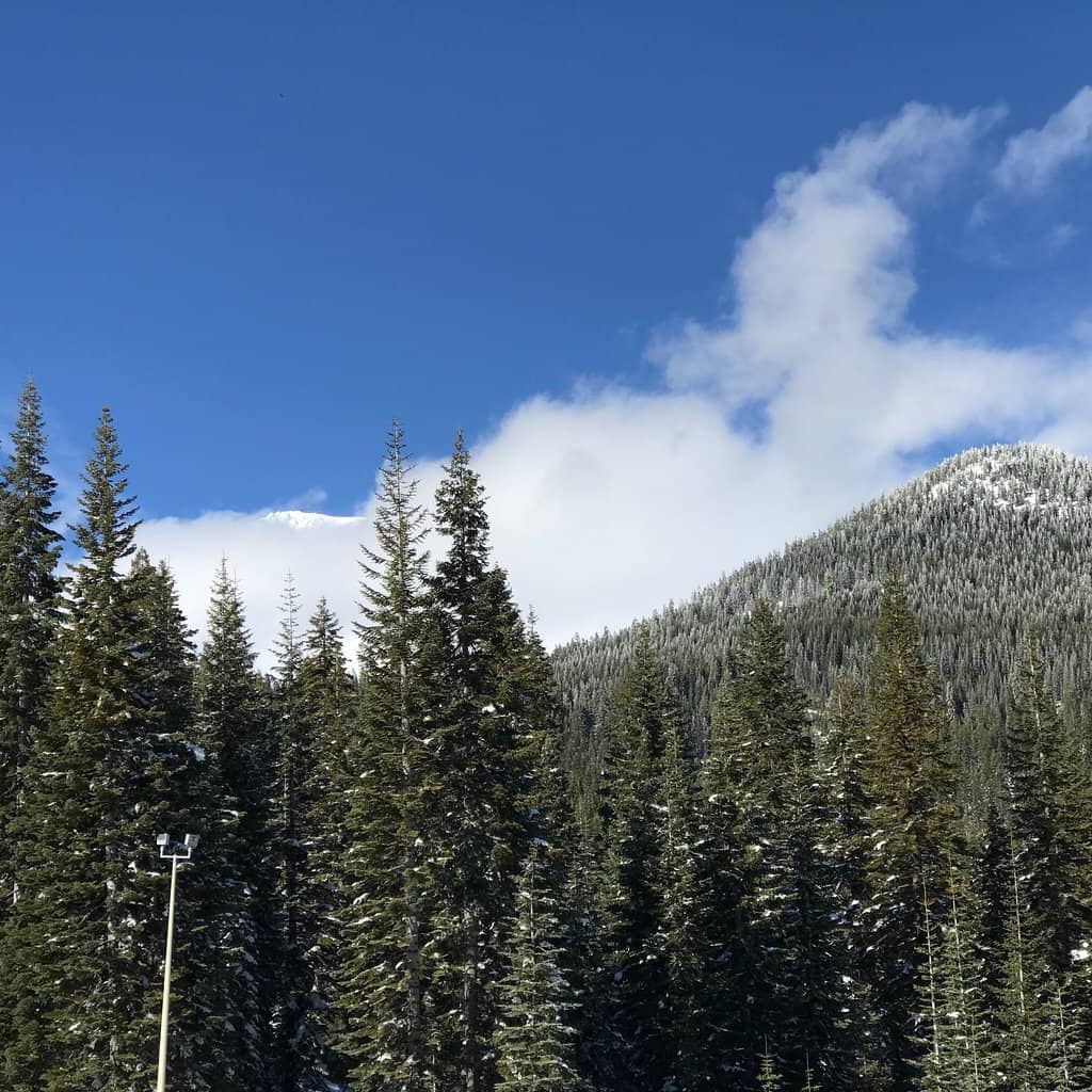 Family-Friendly Atmosphere