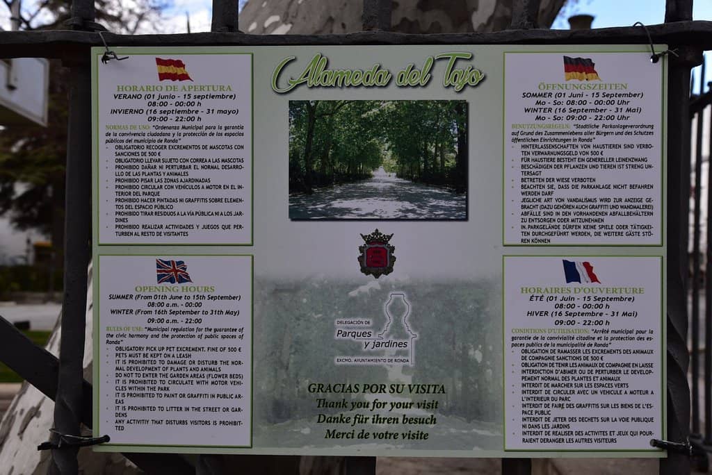 Lush Greenery and Shade