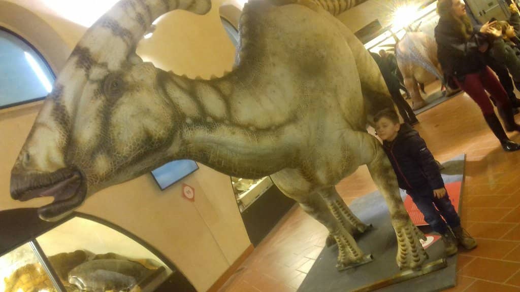 Live Ant Colony & Beehive