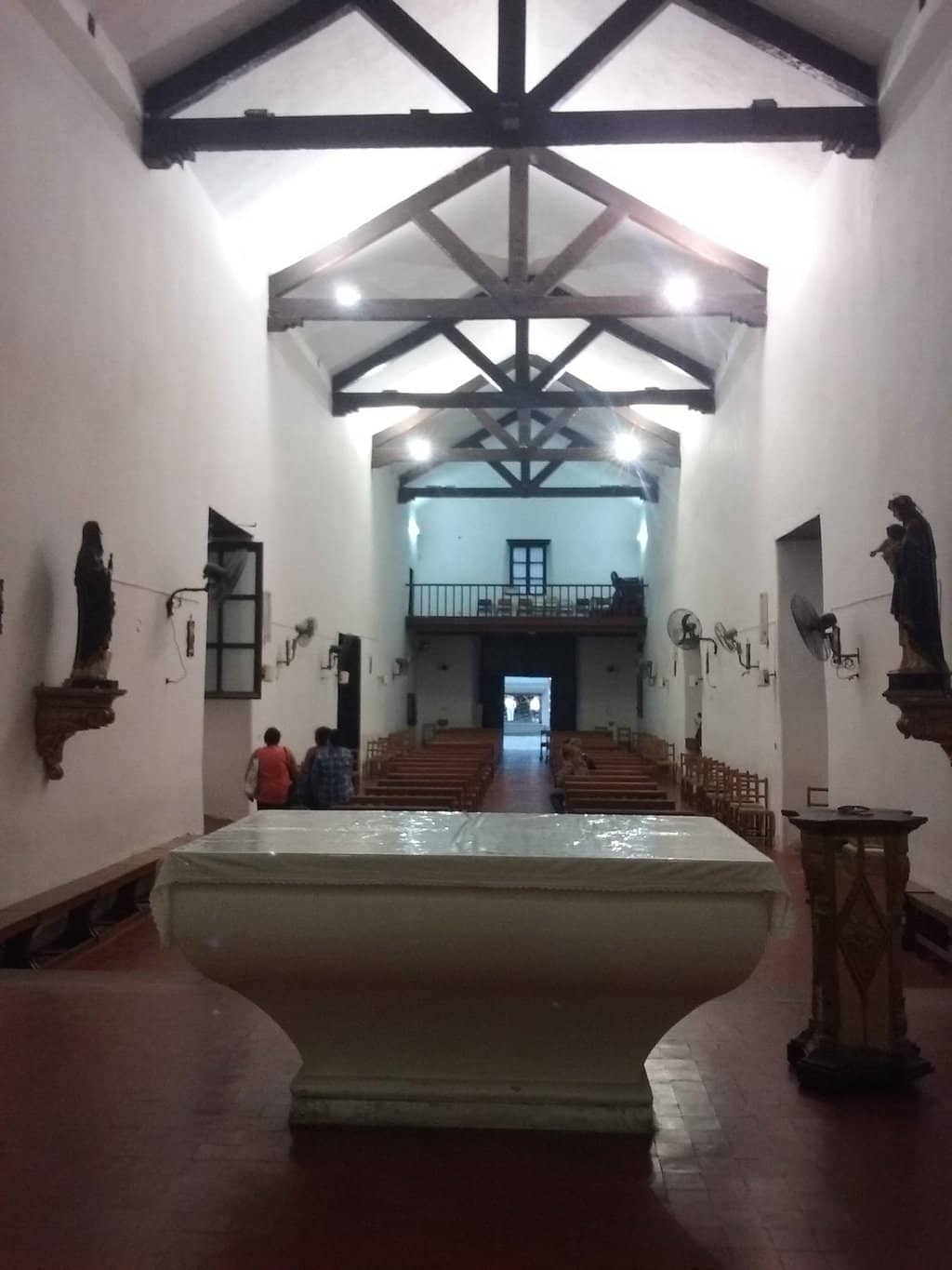 The Story of Survival