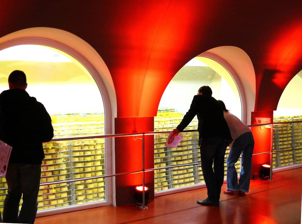 Factory Store Delights