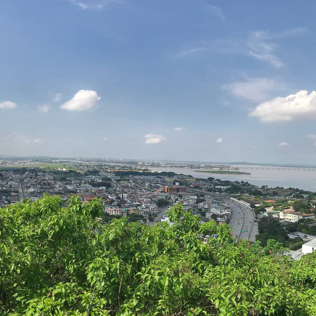 Panoramic City Views