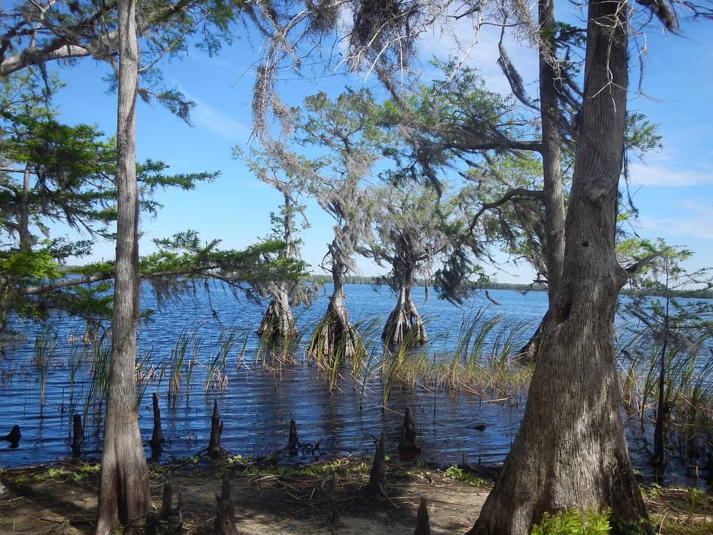 Diverse Ecosystem Trails