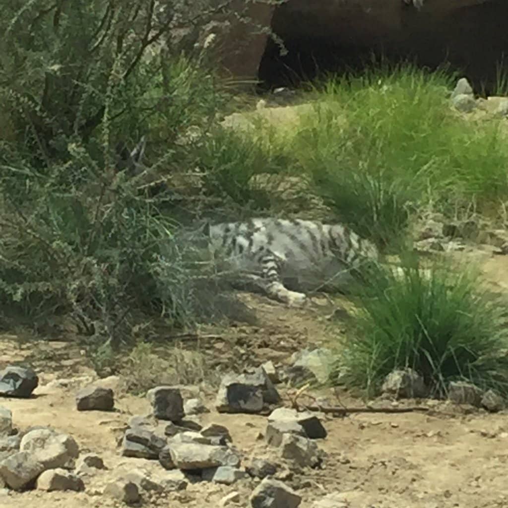 Indoor Exhibit Wonders