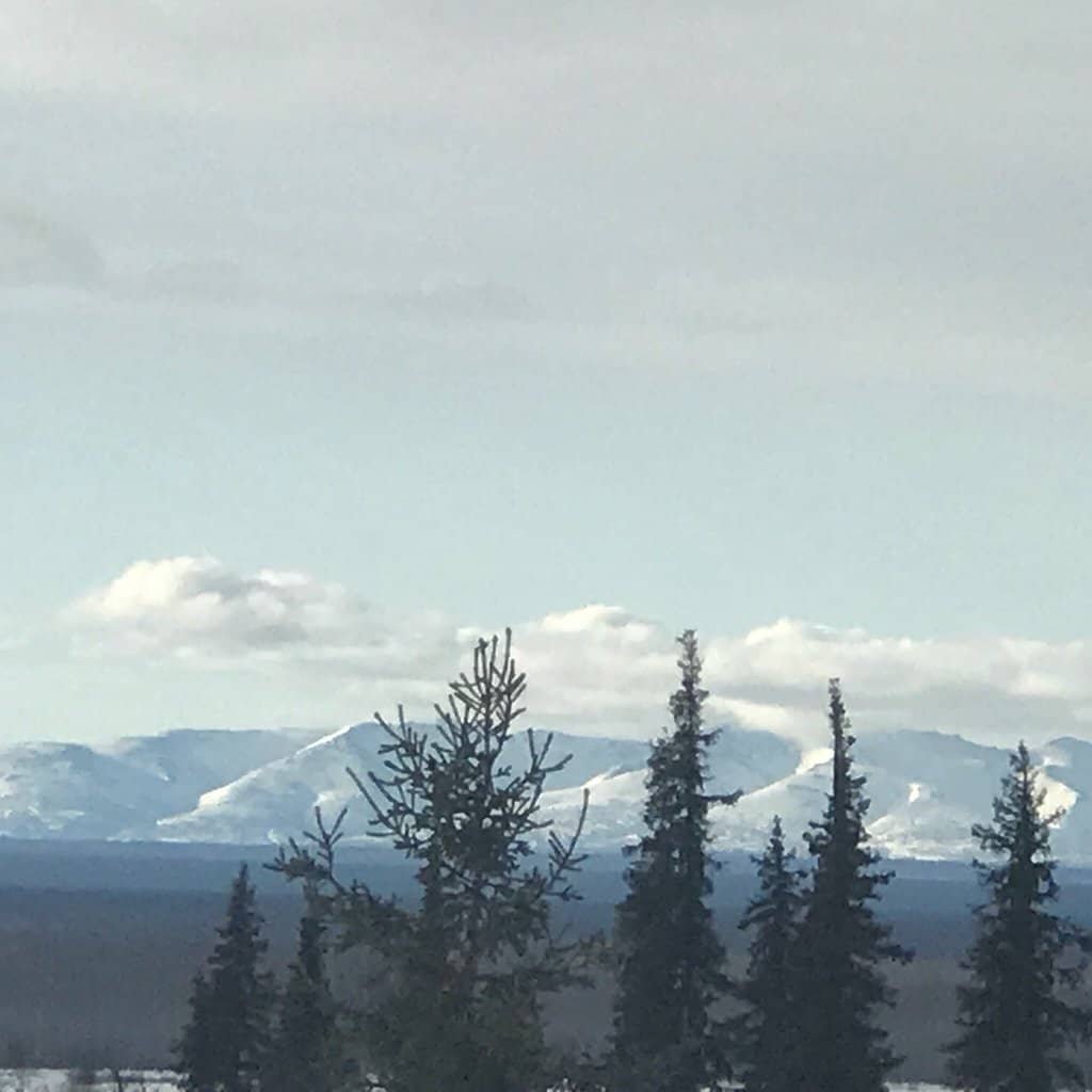 Kid-Friendly Exploration Area