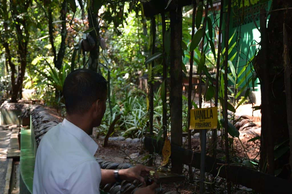Local Cooking Demonstration