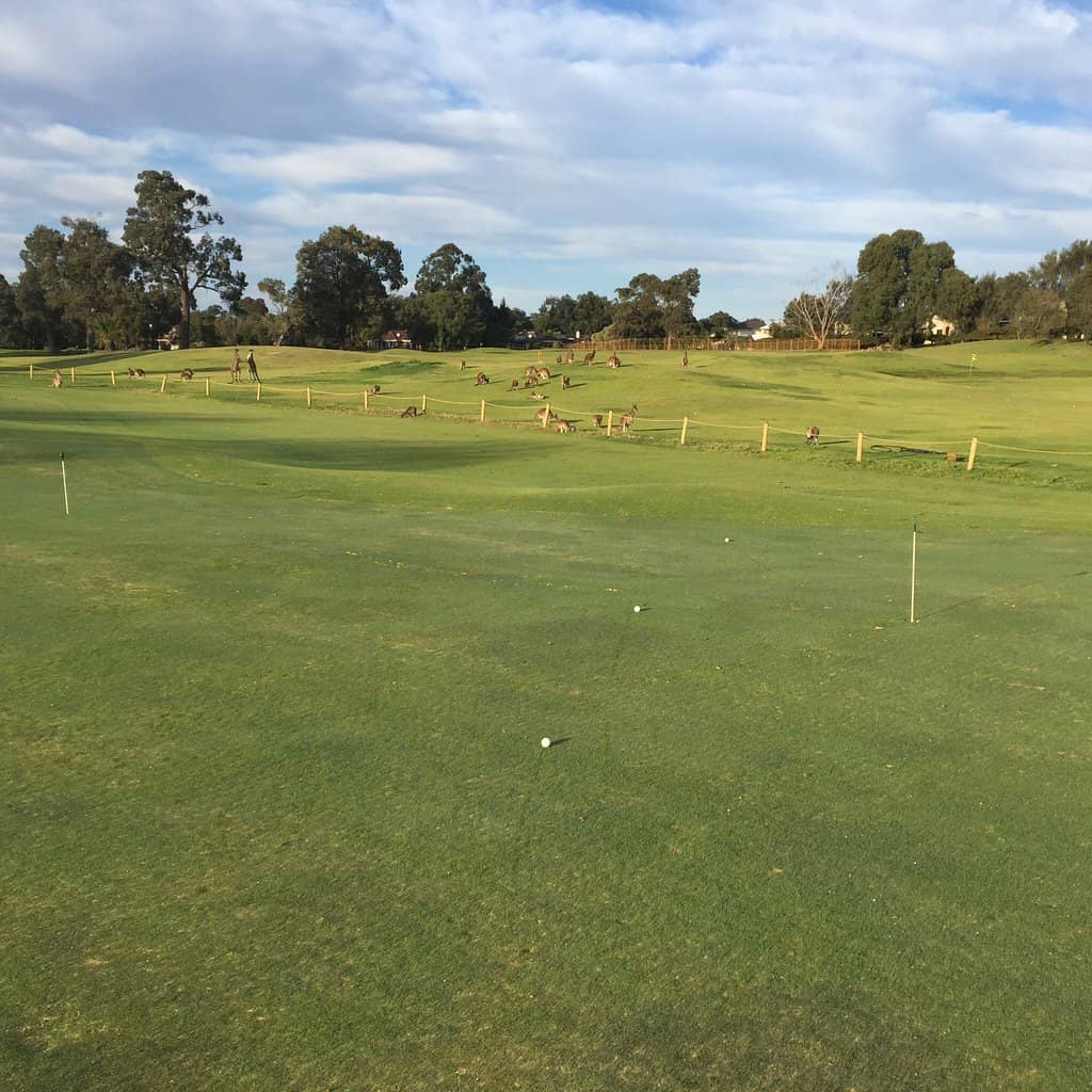 Siete Fuegos by Francis Mallmann