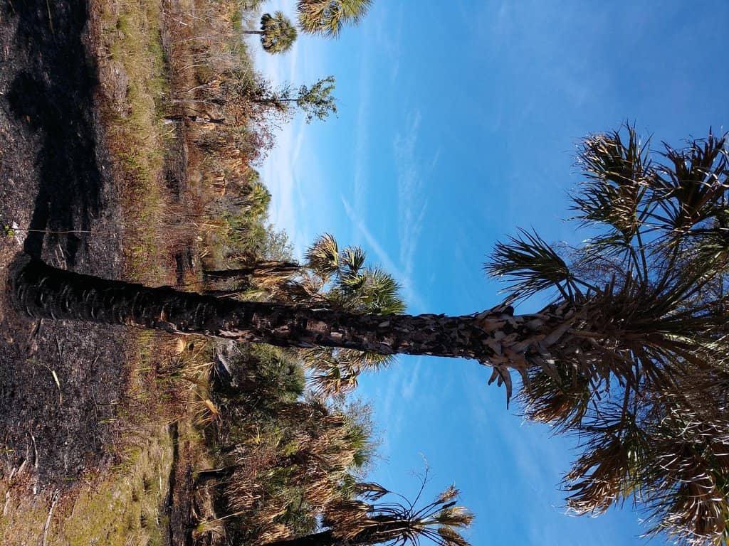 Scenic Kayak & Paddle Trails
