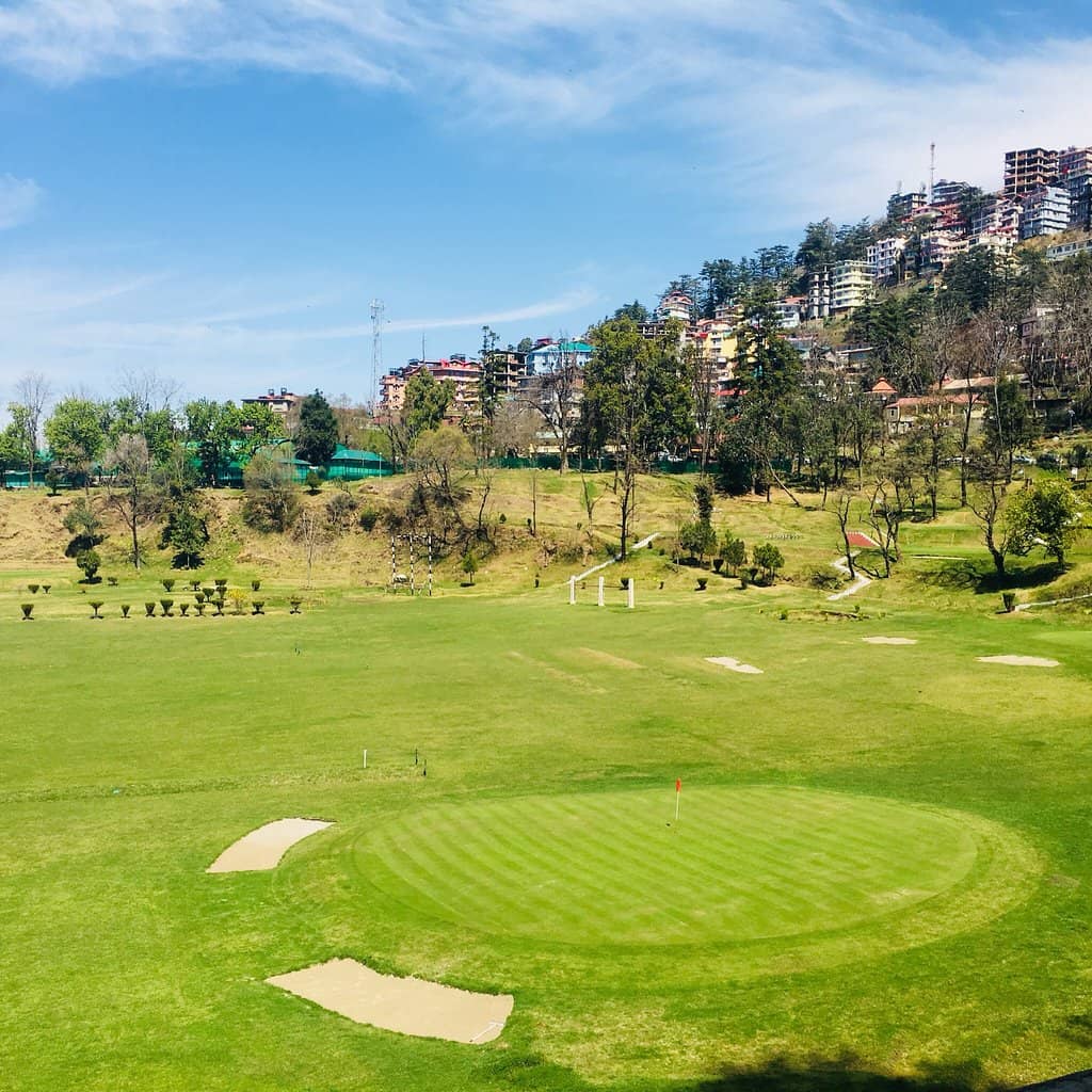 Unique Boba & Themed Cafes