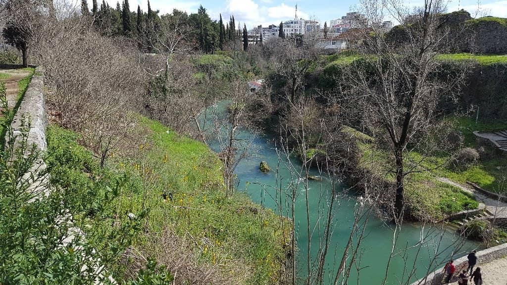 Untouched Nature and Views