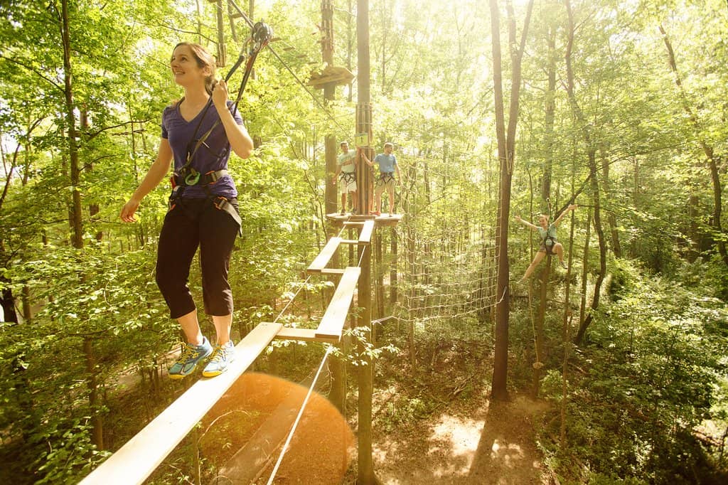 Treetop Adventure