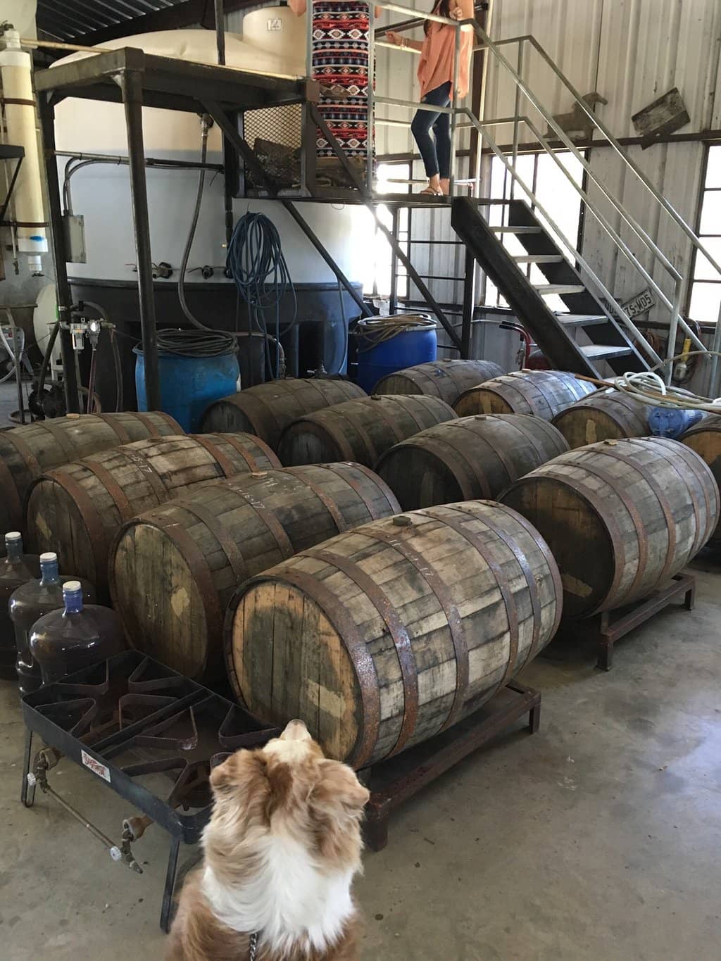 Tranquil Creek Views