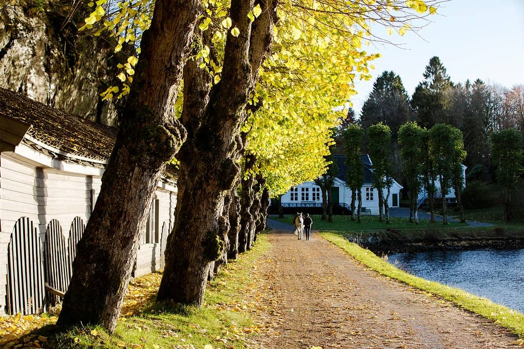 Historical Paper Mill Buildings