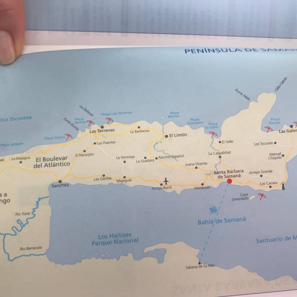 Local Culinary Delights