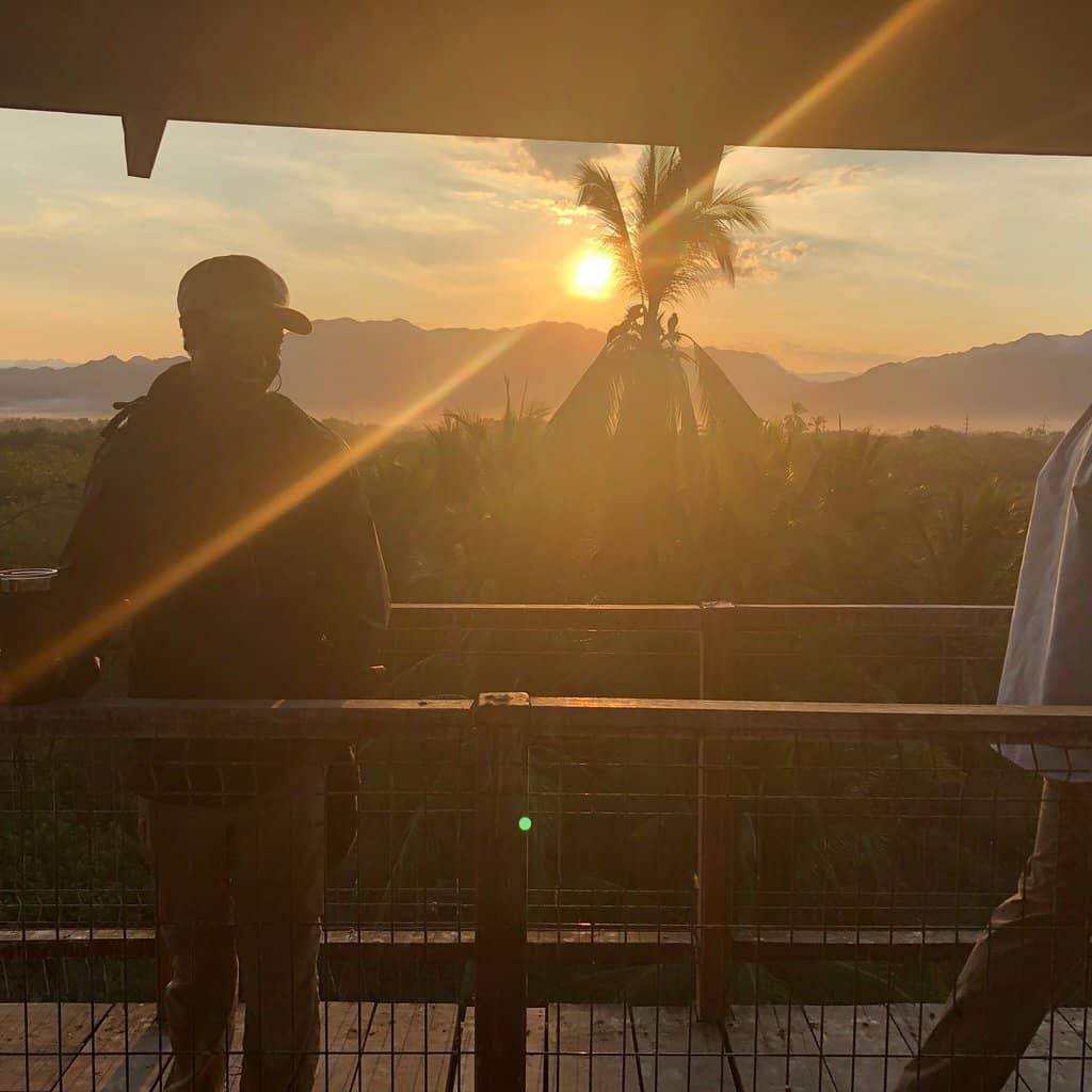 Baby Crocodile Encounter