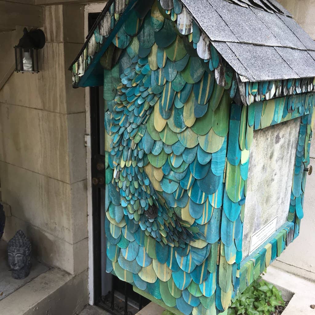 Passionate Docent Insights