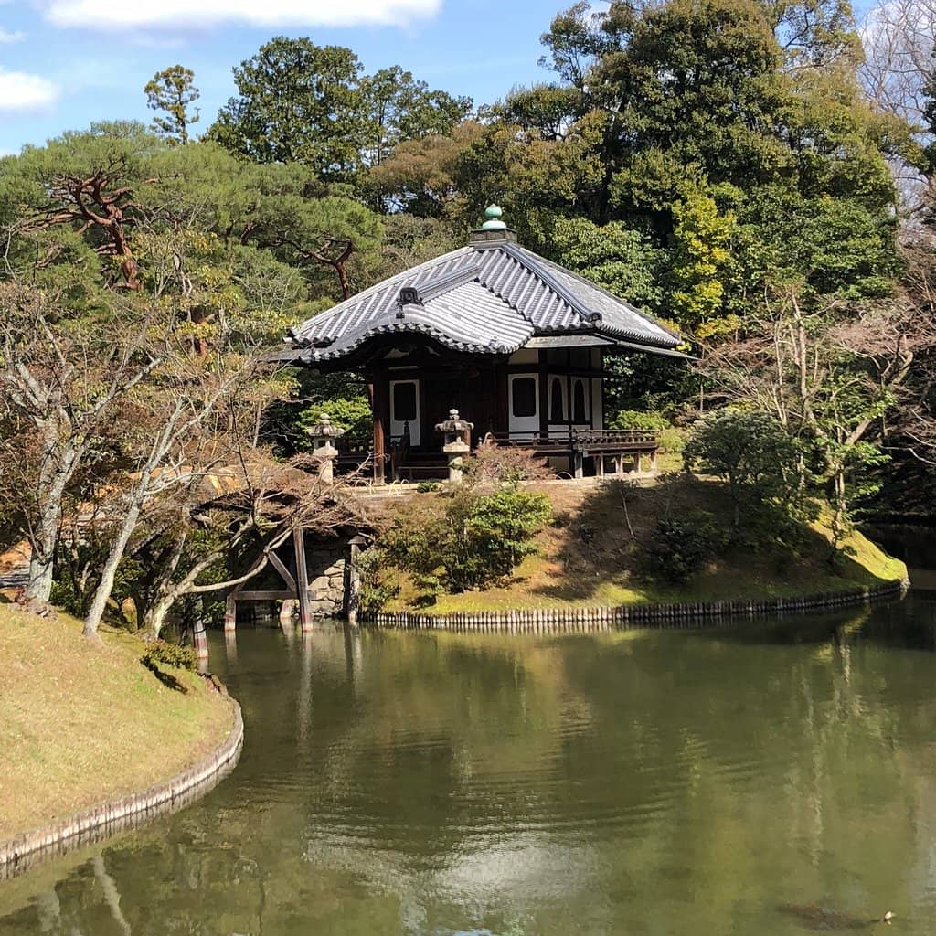 The Katsura River View