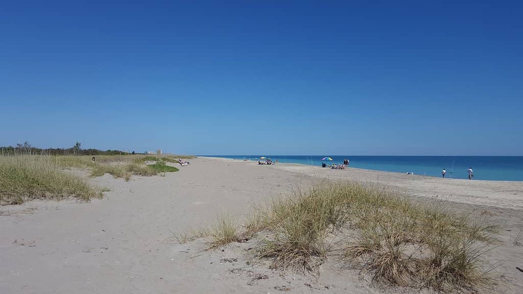 Peaceful Reef Exploration