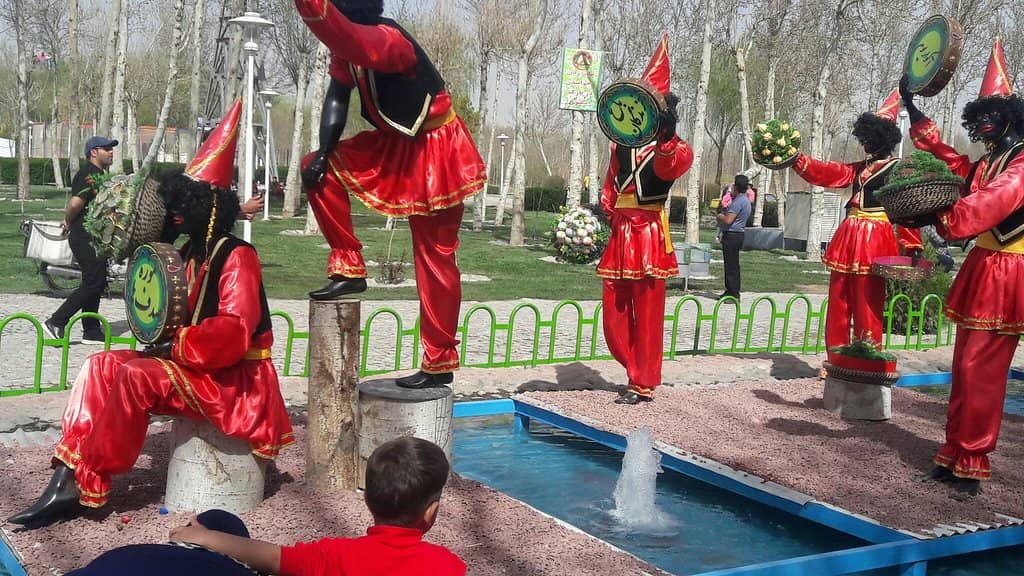 Diverse Bird Species