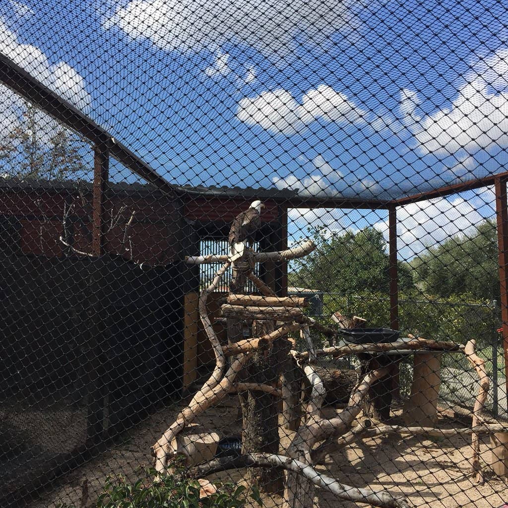 Wildlife Theatre Presentations