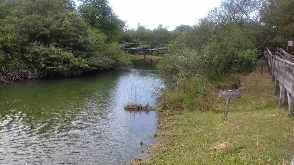Views of the Río Hondo Dam