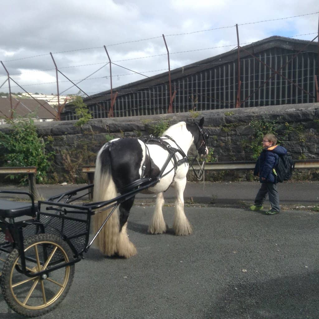 Walking & Hiking Trails
