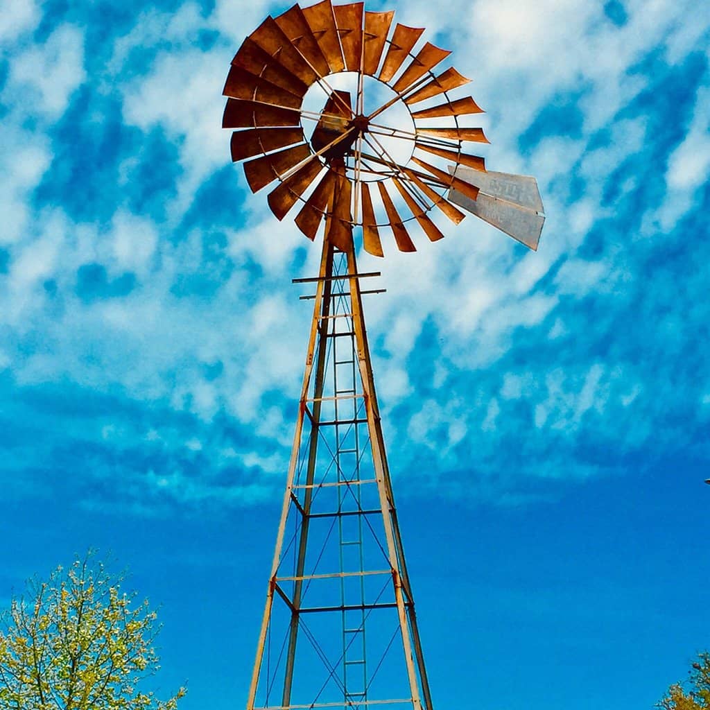 Art Exhibitions & Community Events