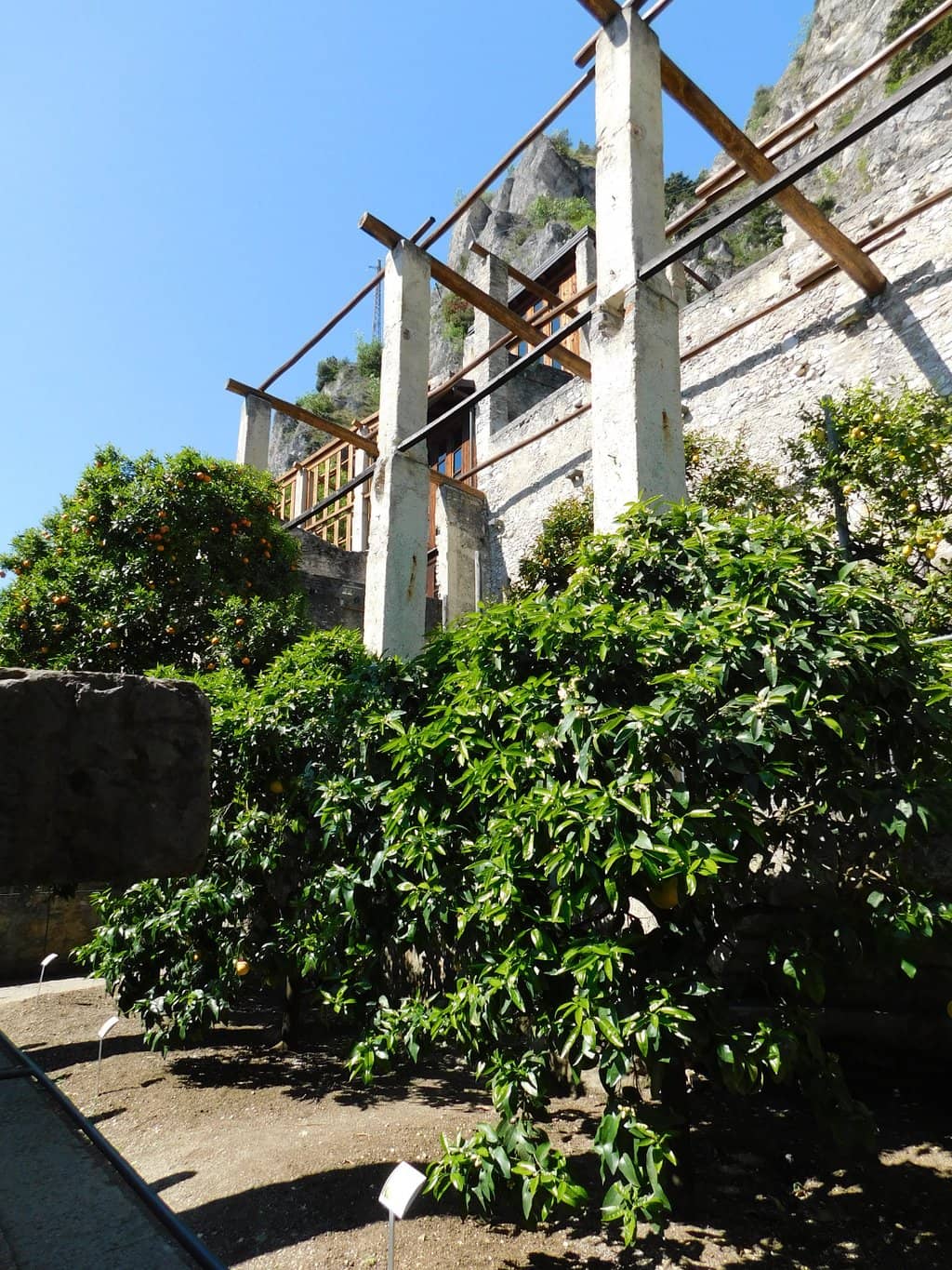 Local History Exhibits