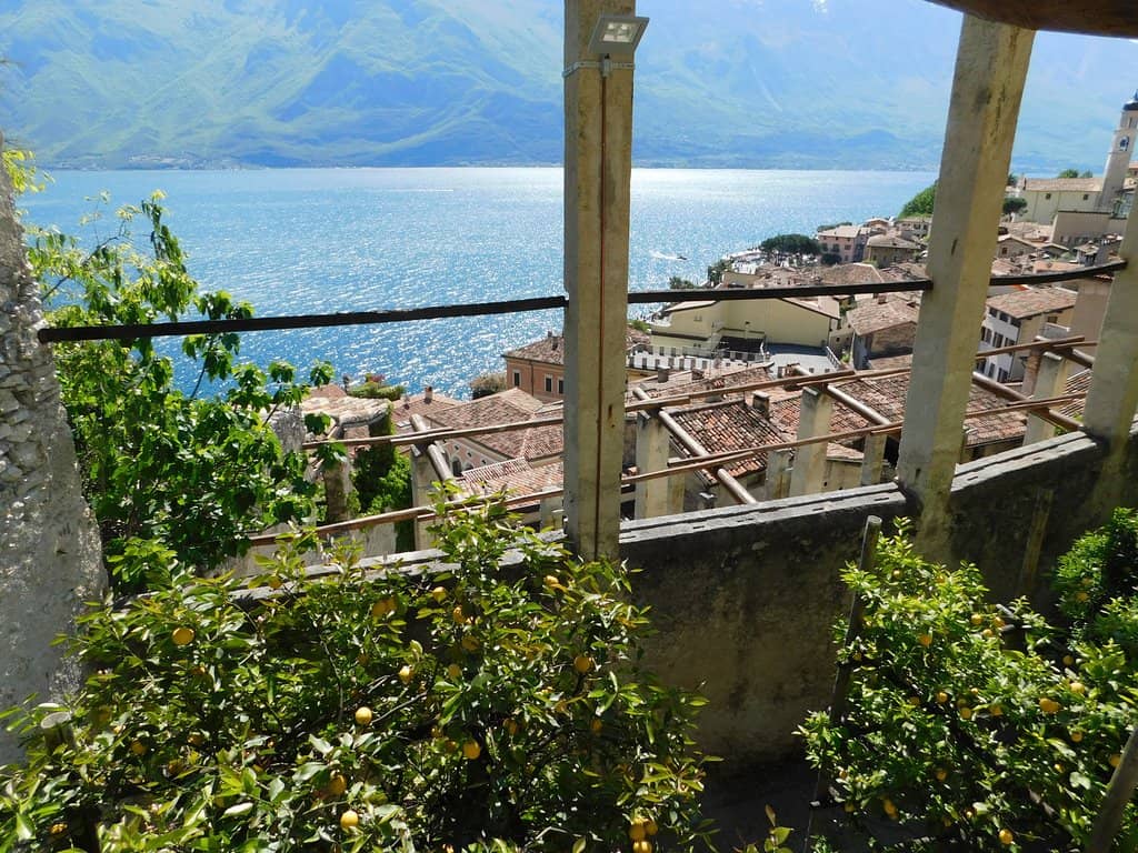 Panoramic Lake Views