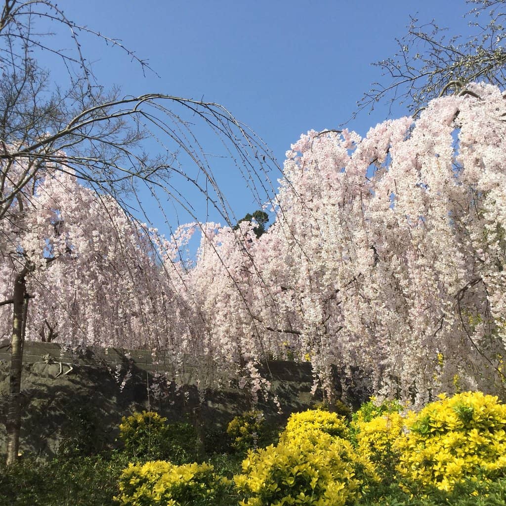 Local Charm and Care