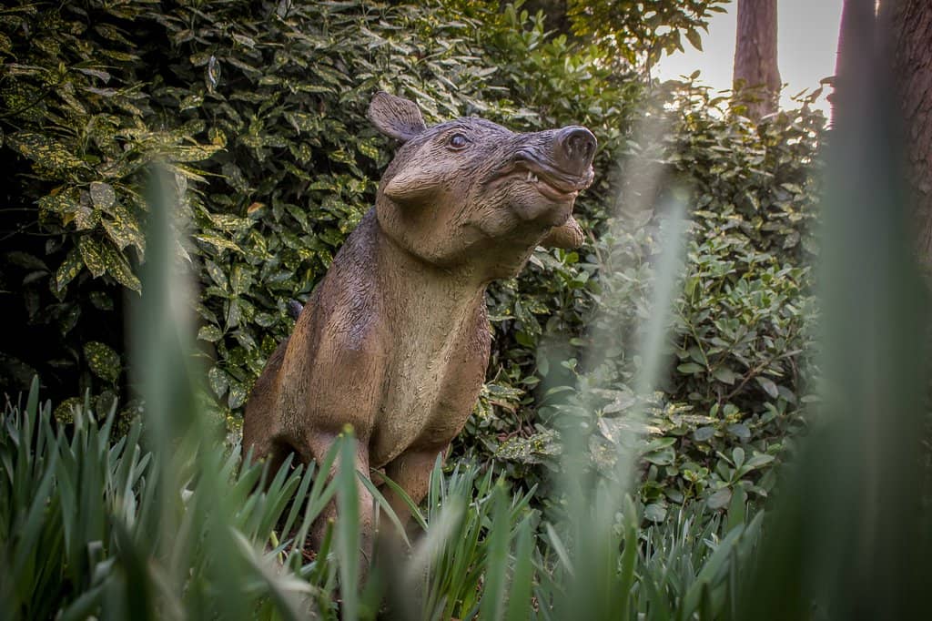 Ice Age Animal Exhibitions
