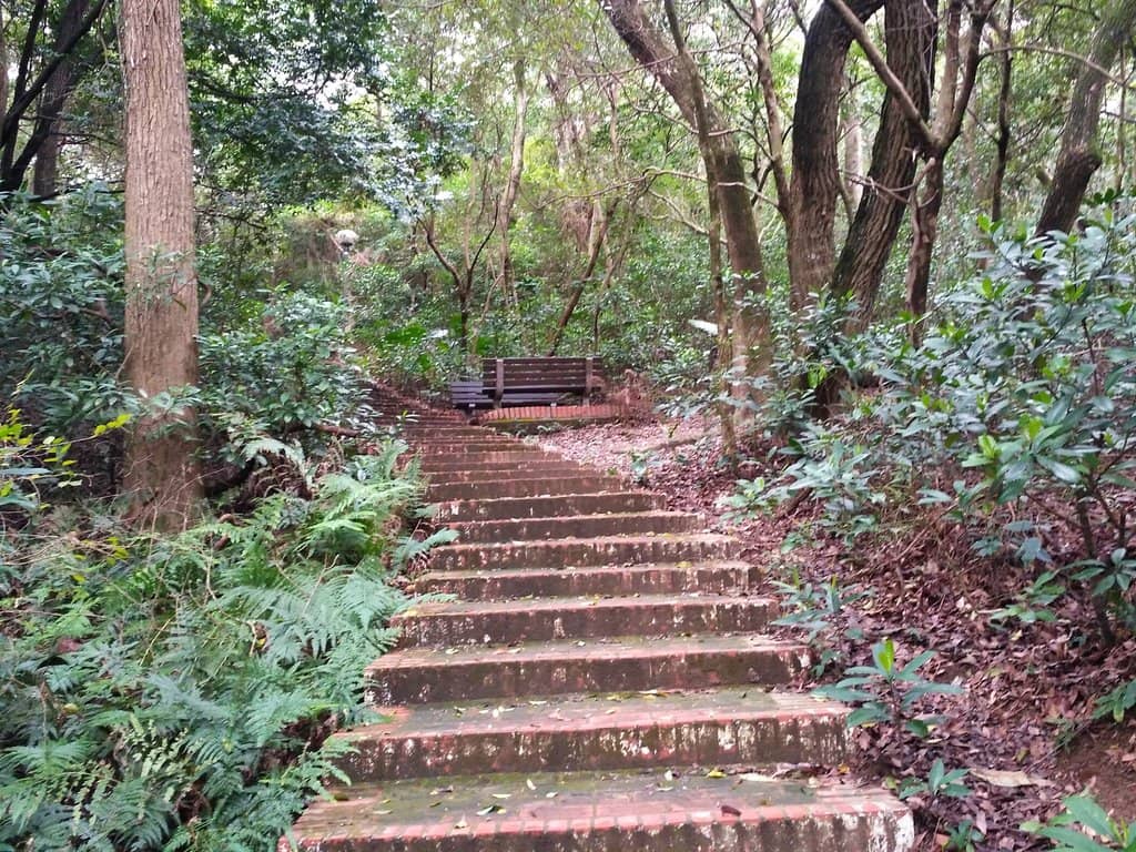 Vibrant Flora and Fauna