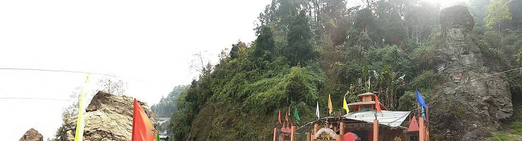 Vertical photo