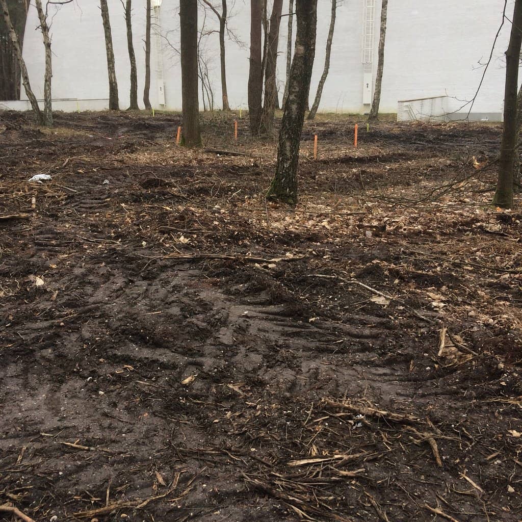 Herb Garden Serenity