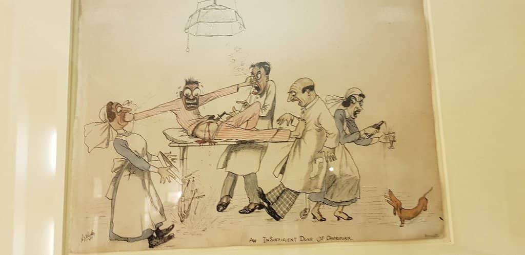 Red Squirrel Spotting