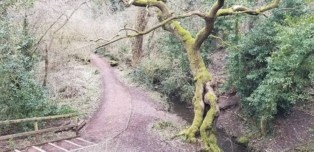 Ancient Burnt Mounds