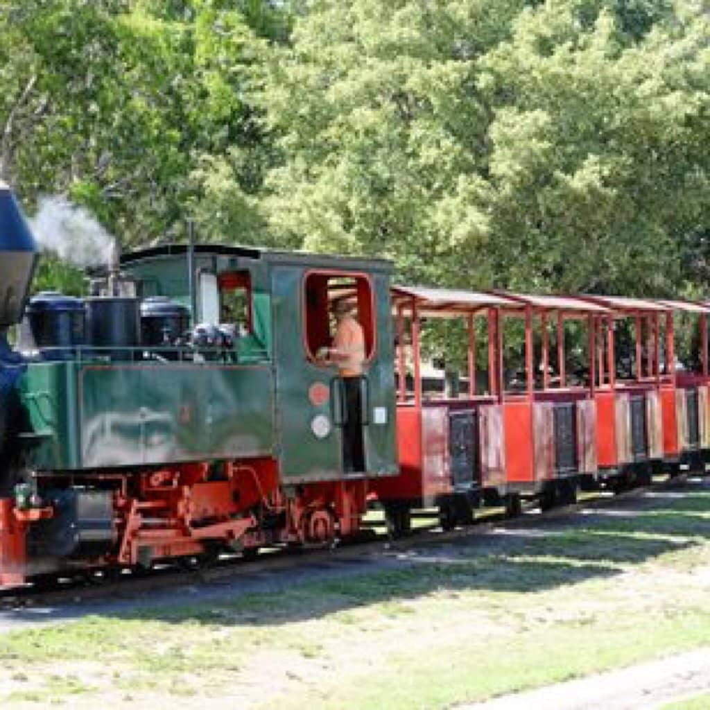 Steam or Diesel Train Ride