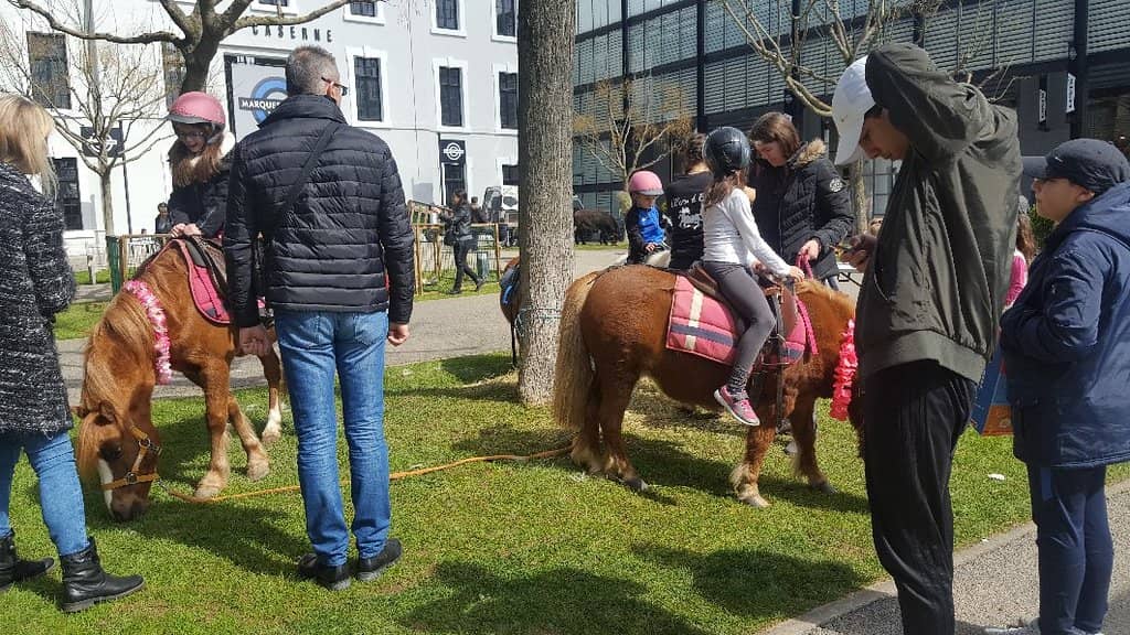 Designer Brand Bargains