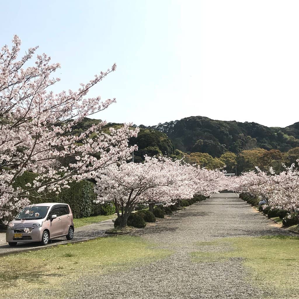 Ancient Cave Remains