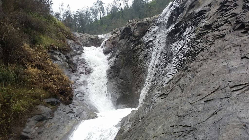 Scenic Roadside Views