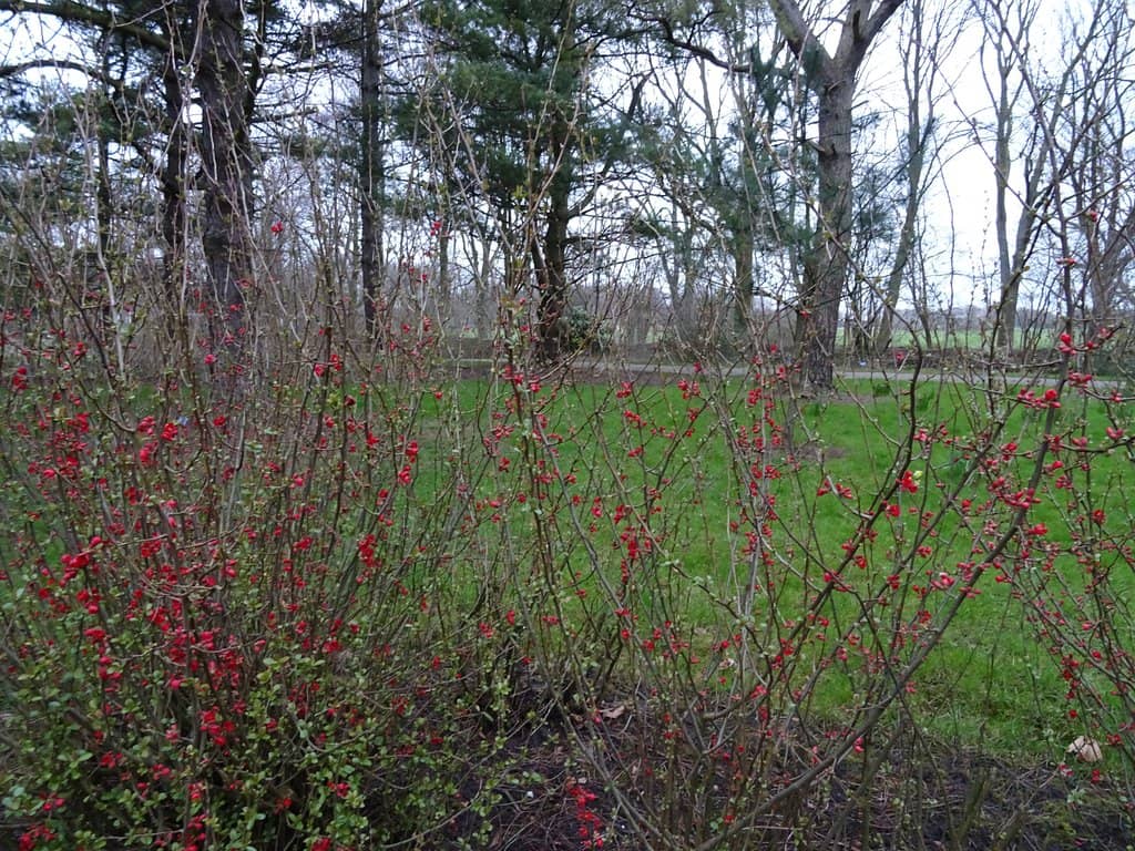 Local Park Exploration