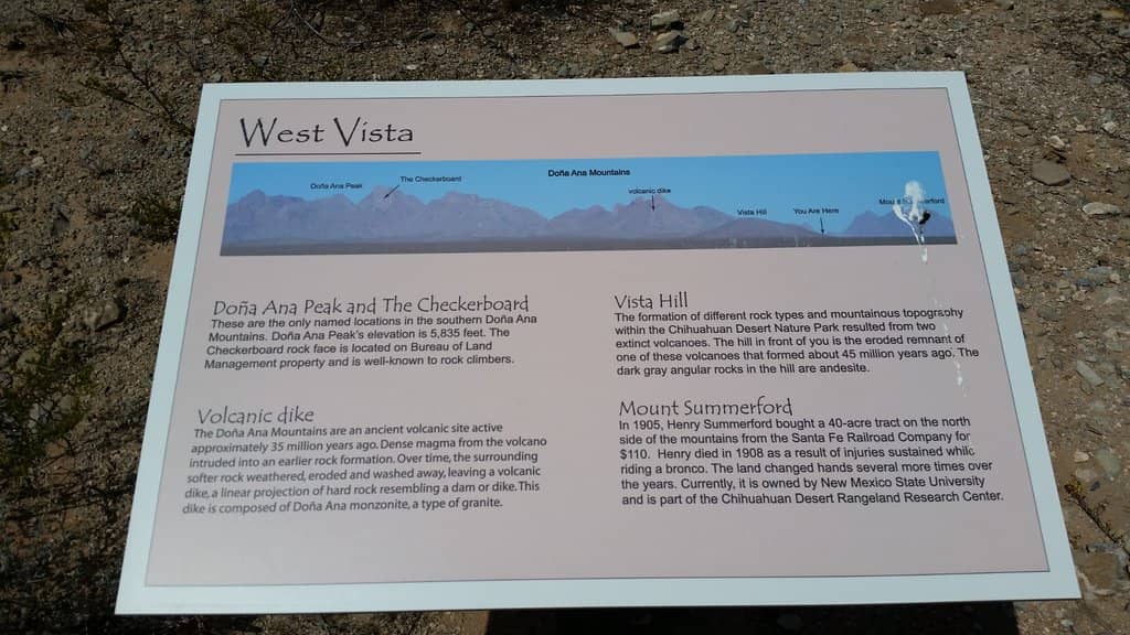 Organ Mountains Views